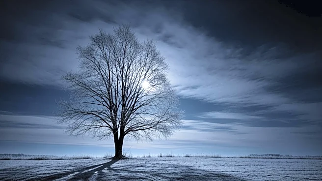 Cold Night Ahead in Youngstown with Partly Cloudy Skies