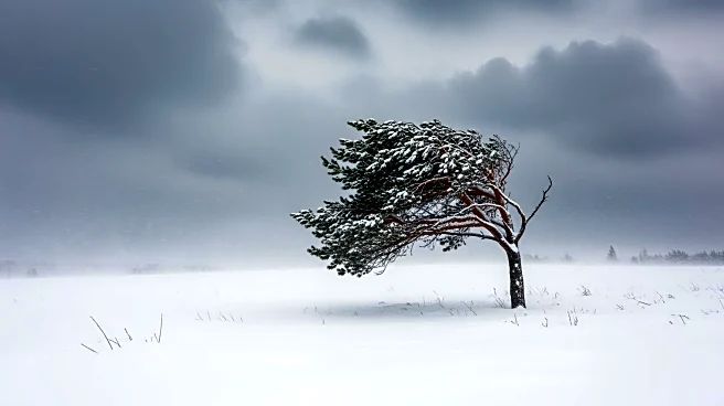 Severe Snow and Winds Disrupt Life in Balkan Countries