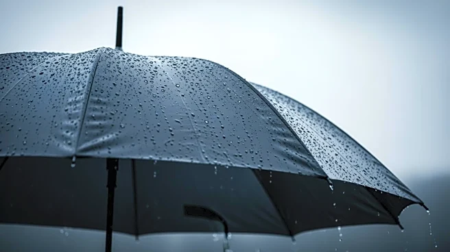 Rain and Cold Weather Expected in Maryland This Weekend