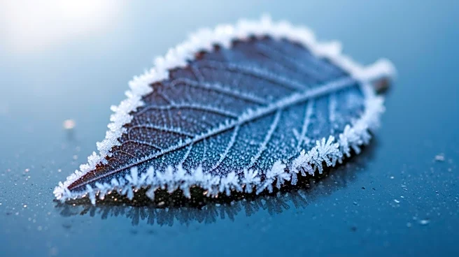 Cold Front Brings Cooler Temperatures to Dayton, Ohio