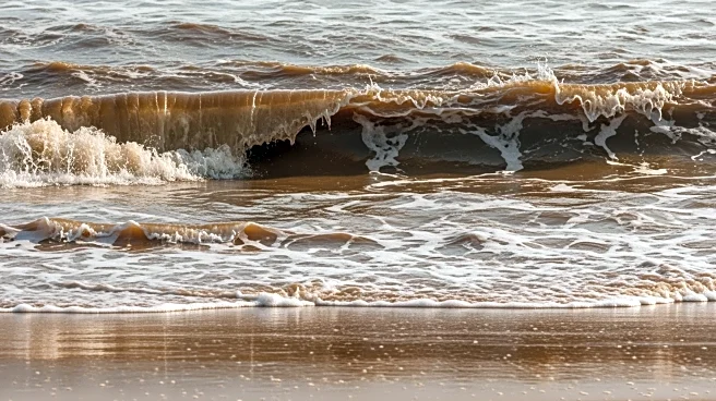 Brown Water Advisory Issued for OÊ»ahu Shorelines Following Floods