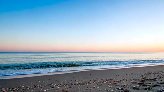 Jacksonville Weather Forecast: Clear Skies and Mild Temperatures Expected