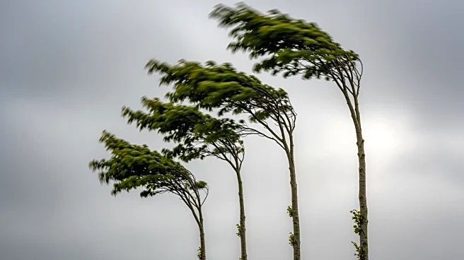 Pittsburgh Experiences Stronger Wind Gusts in Recent Years