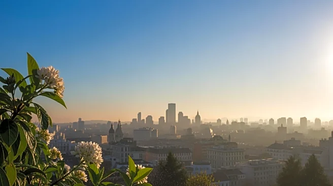 St. Petersburg Weather: Clear Skies and Mild Temperatures Expected