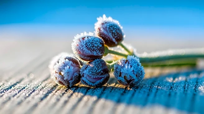 Subfreezing Spring Weather Hits Seven U.S. States