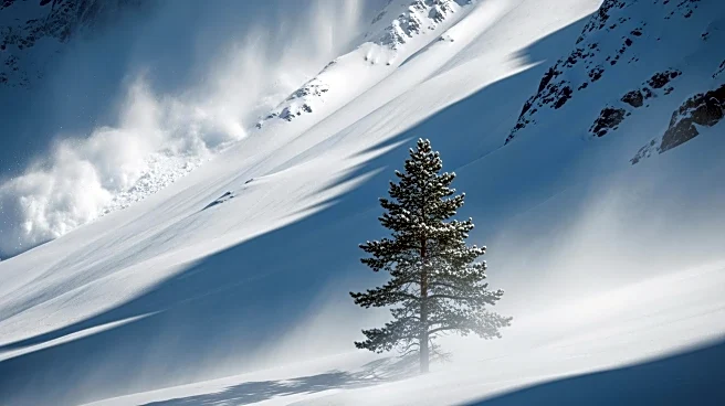 Avalanche at Zojila: Fatalities and Injuries Reported