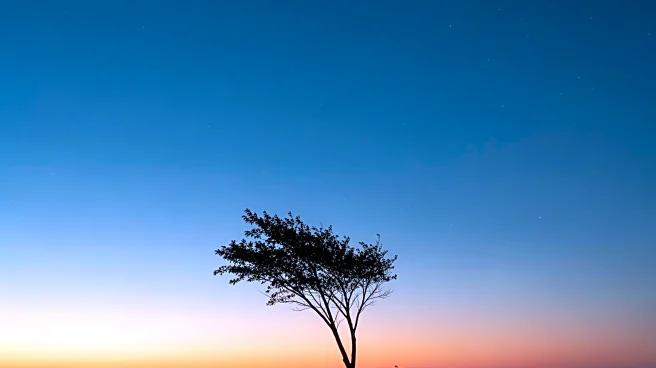 Louisville Weather Update: Clear Skies and Mild Temperatures Expected