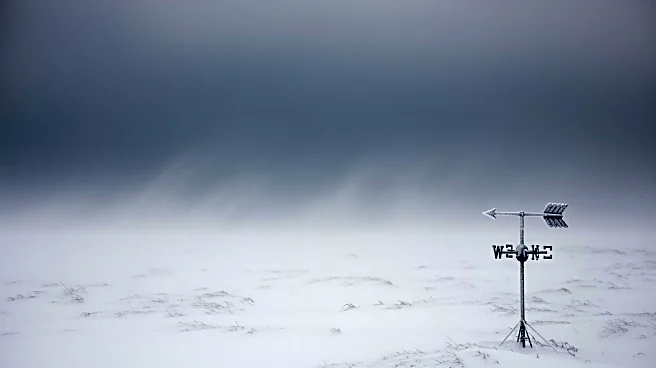 Blizzard Warning Issued for Northern Plains