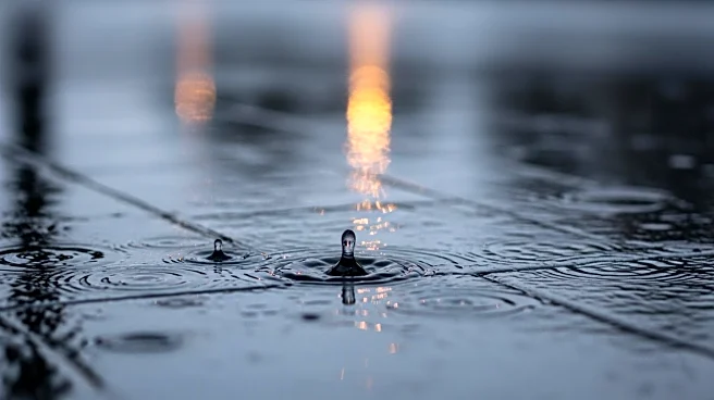 Weather Alert: Heavy Rain Expected in New York City