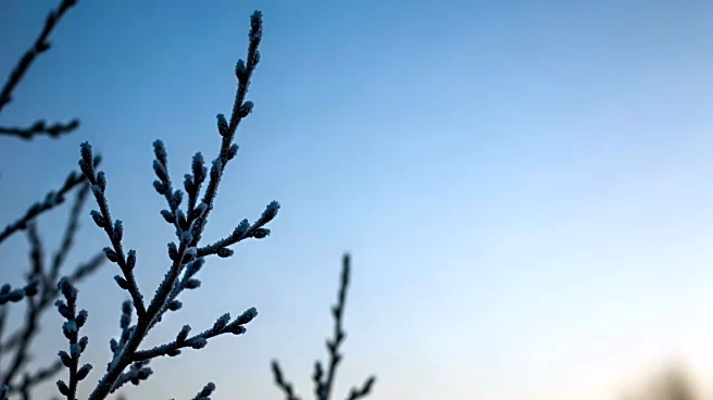 Illinois Faces Spring Freeze Risk Amidst Unseasonably Cold Weather