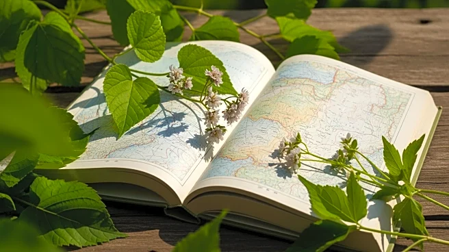 Accra Launches Climate Atlas to Address Gender Inequities in Agriculture