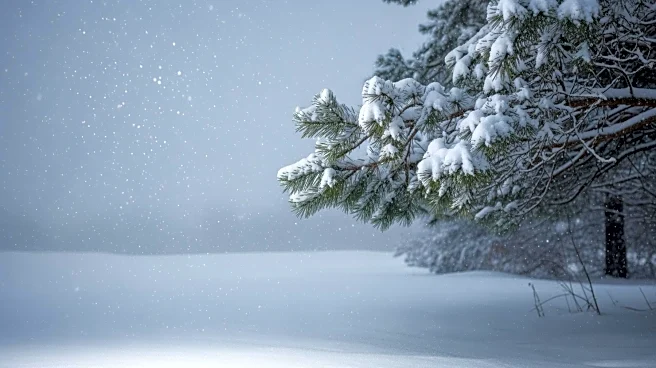 Heavy Snow Warning for Montana and Alaska: Up to 15 Inches Expected