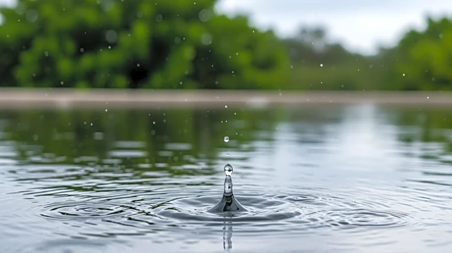 Increased Rainfall Expected in South Florida After Eventful Weekend