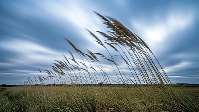 Increasing Wind Gusts Observed in Pittsburgh Over Recent Years