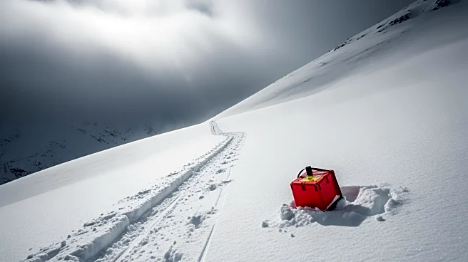 Avalanche Alert Issued in North Iceland Following Snowmobiler Incident