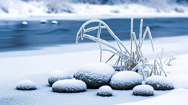 Winter Storm Brings Snow Day to Maryland Otters
