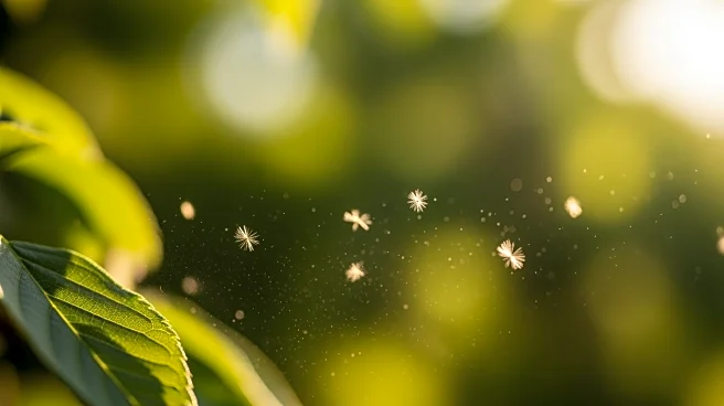 Tree Pollen Alert Issued for Tamil Nadu Region