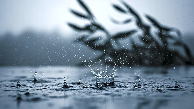 Seattle Faces Heavy Rain and Wind as Pacific Storm Approaches