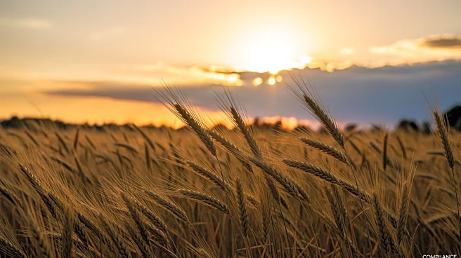 Breezy and Warm Conditions with Storms Expected in Peoria