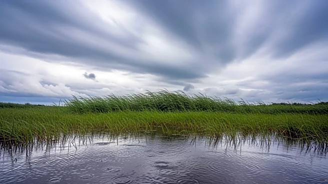 Wisconsin Weather Forecast: Rain and Wind Expected