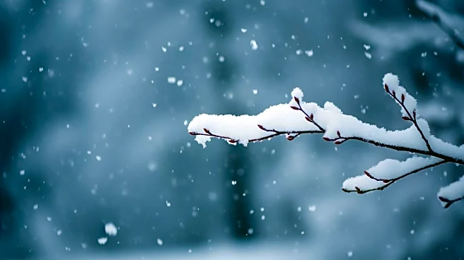 Warwick Faces Unseasonably Cold Weather with Snowfall Expected