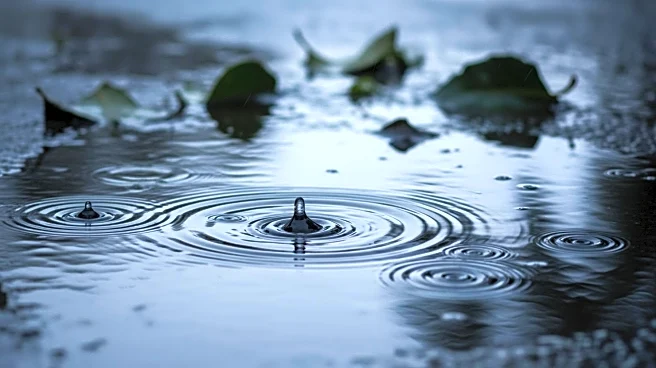 Wheeling Weather: Heavy Rain and Flooding Expected