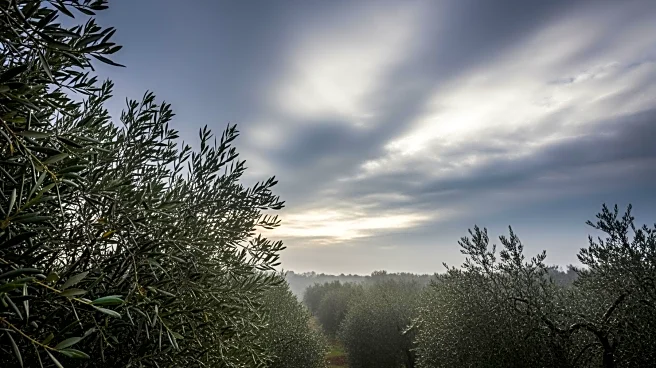 Unseasonal Storm to Disrupt Passover in Israel with Haze and Rain