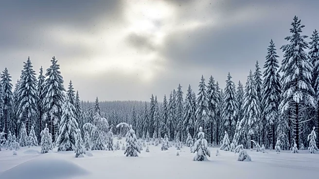 Massive Snowstorm Hits Midwest and Great Lakes