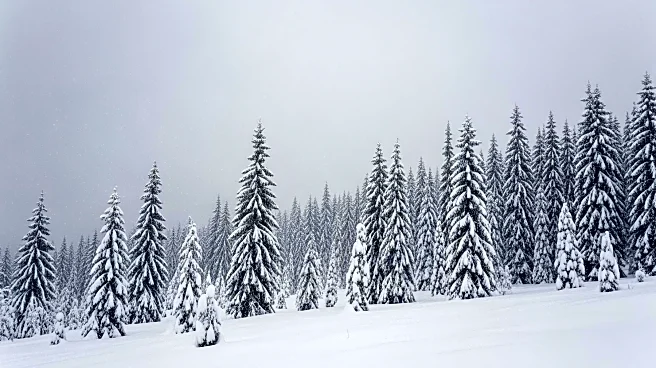 Heavy Snow Warning Issued for Alaska with Up to 15 Inches Expected