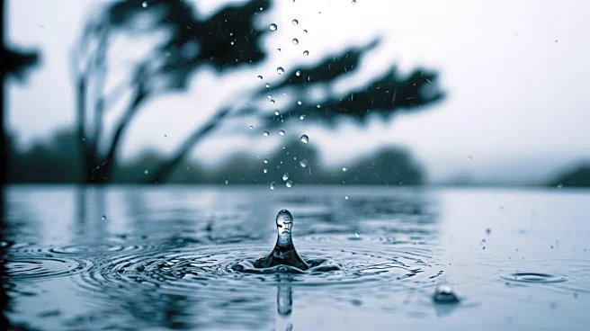 Weather Forecast for Delaware: Rain and Wind Expected