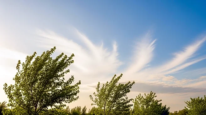 Knoxville Weather: Clear Skies and Mild Temperatures Expected