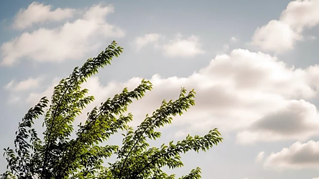 Pittsburgh Weekend Weather Forecast: Mild Conditions Expected