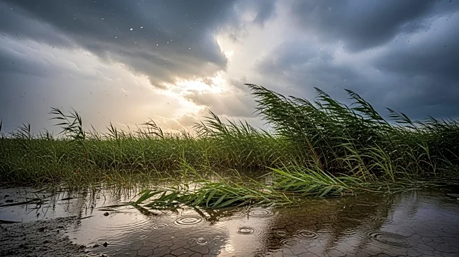 Scattered Rain and Strong Winds Expected in Israel, Flood Risk Ahead