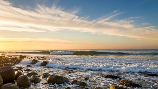 San Francisco Weather Update: Mild Conditions Expected This Week