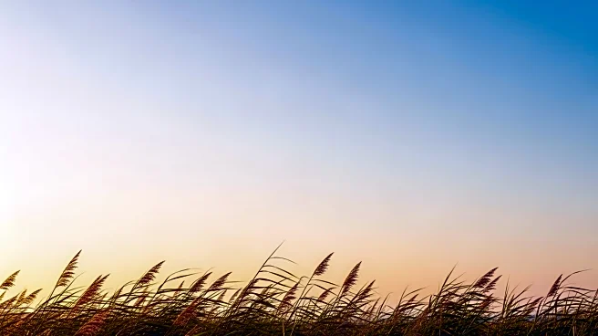 Eugene Weather: Clear Skies and Mild Temperatures Expected