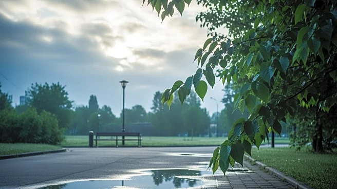 Mild Weather with Chance of Showers for New York