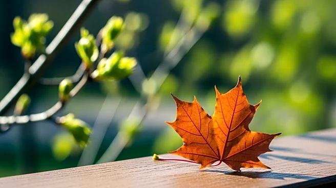 Maple Weekend Celebrated Amid Mild Weather in Dutchess County, NY