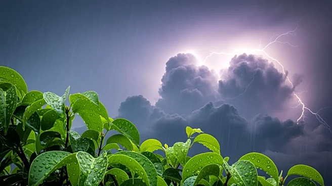 Winston-Salem Weather: Rain and Thunderstorms Expected This Week