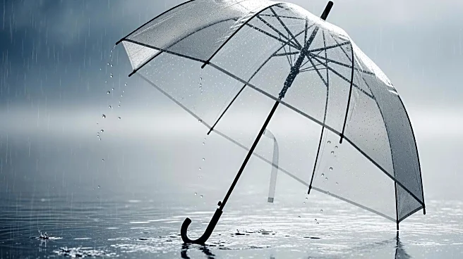 Lagos Secures $7.5 Million Flood Insurance Policy for Vulnerable Residents