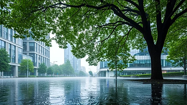 Peri-Urban Vegetation's Influence on Urban Precipitation Uncovered