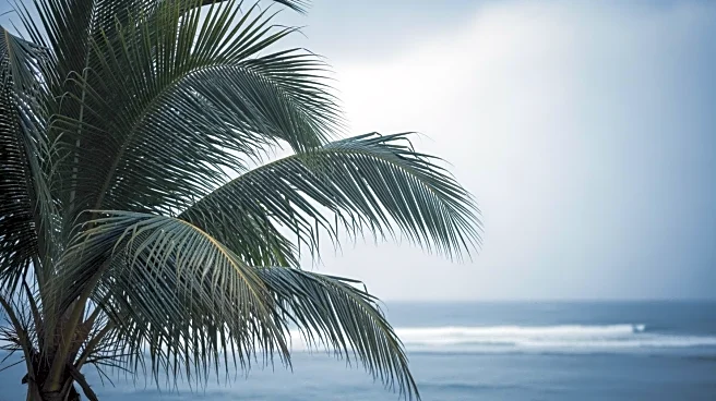 Showers and Breezy Conditions Persist in South Florida