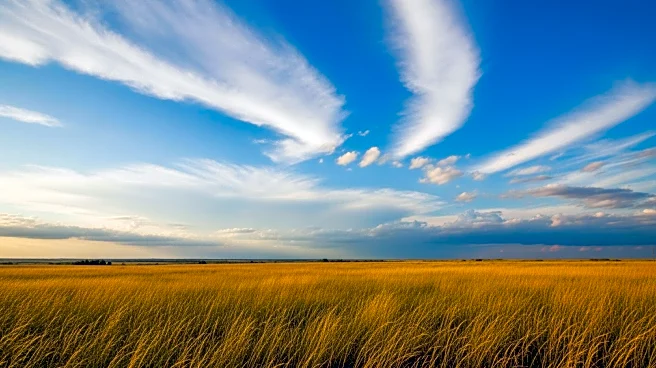 Sunny and Breezy in North Texas, Storms Expected Midweek
