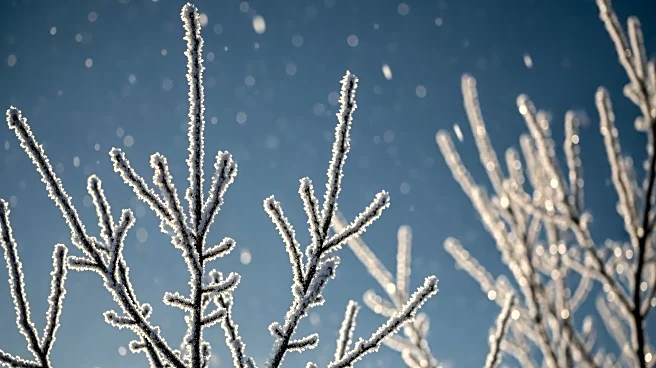 Philadelphia Faces Unseasonably Cold Weather with Wind Chill Advisory