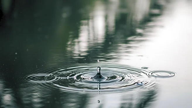 Heavy Rain Causes School Closures on Hawai'i Island
