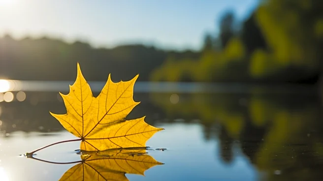 Warm Weather Expected in Minnesota with Highs in the 70s