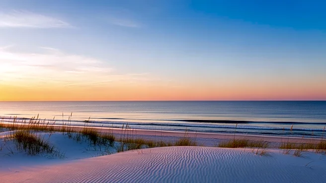 Miami Weather Forecast: Clear Skies and Mild Temperatures Expected