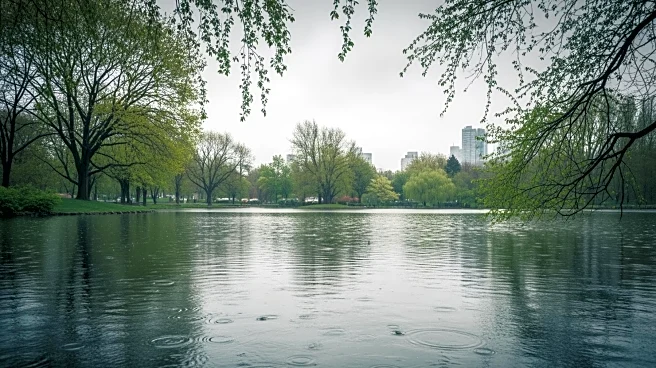 Bay Area Faces Showers and Cooler Weather on March 31