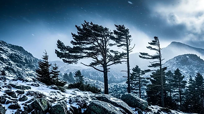 Tahoe Area Prepares for Snow and Damaging Winds