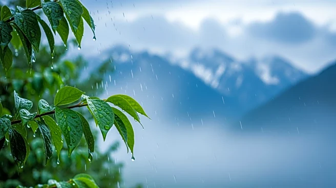 April Showers and Sierra Snow Arrive in Bay Area