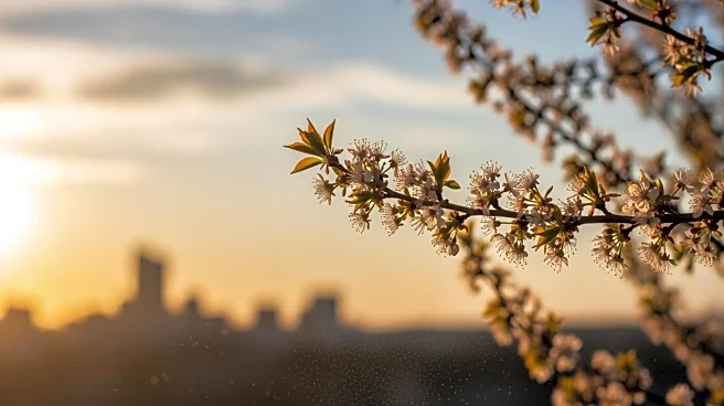 Early Allergy Season Hits Philadelphia Amid Temperature Fluctuations